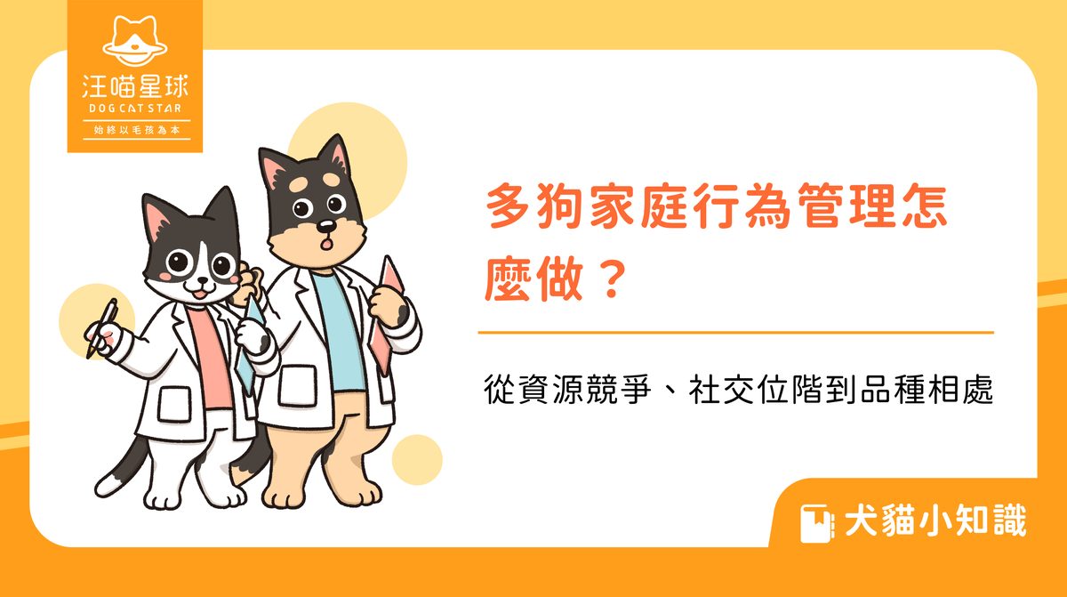 多狗家庭行為管理怎麼做?從資源競爭、社交位階到品種相處