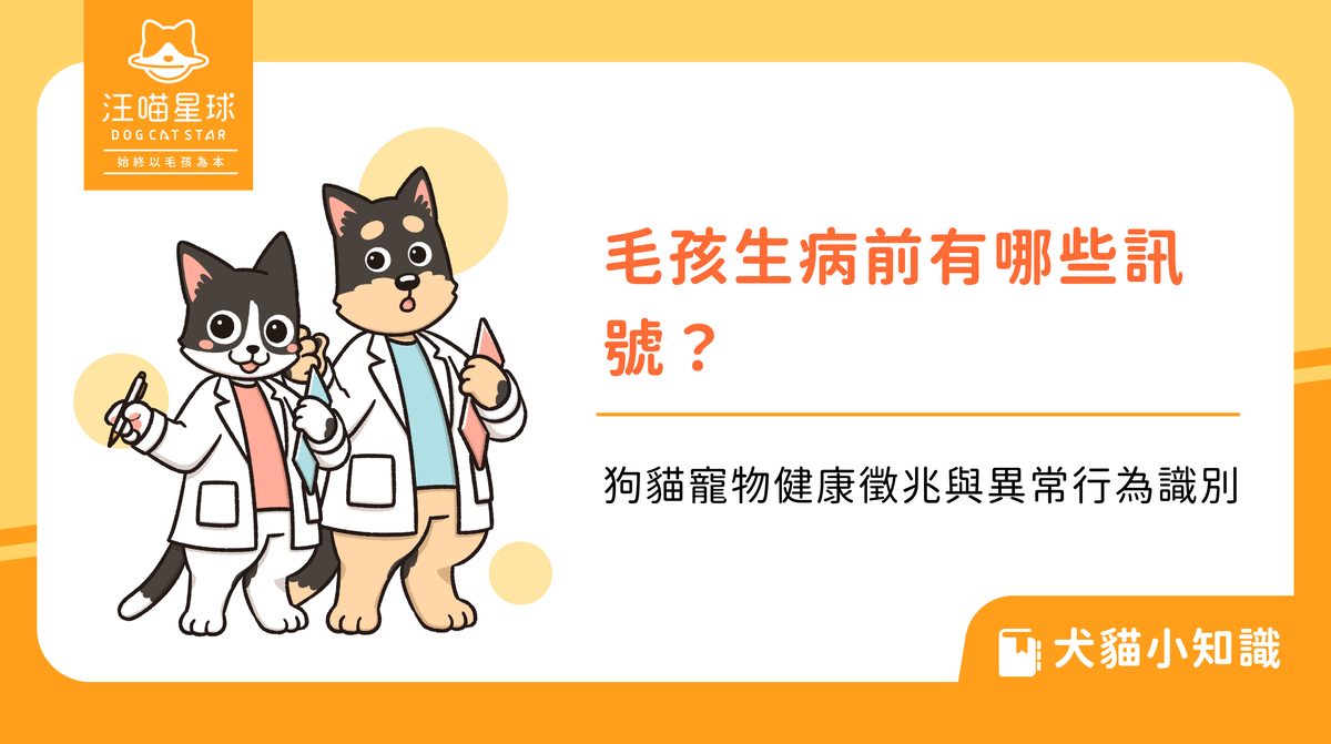 毛孩生病前有哪些訊號?狗貓寵物健康徵兆與異常行為識別