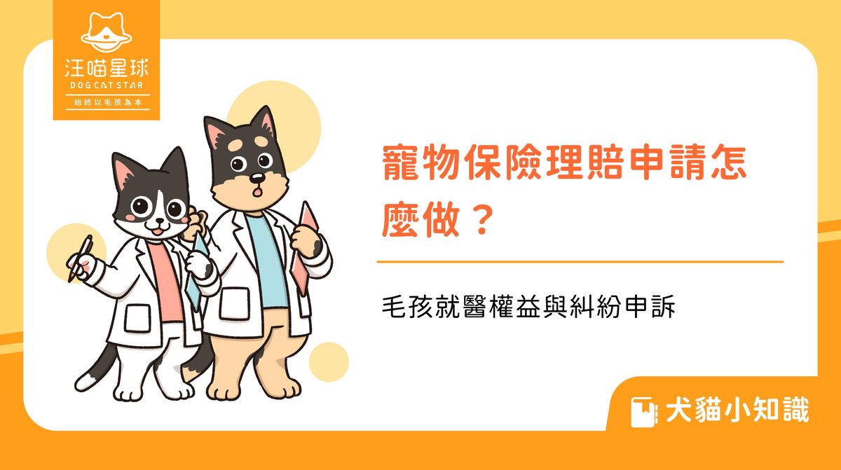 寵物保險理賠申請怎麼做？毛孩就醫權益與糾紛申訴
