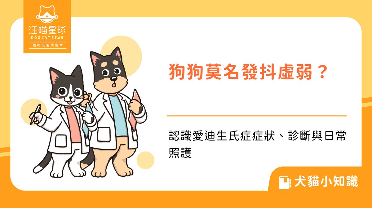 狗狗莫名發抖虛弱?認識愛迪生氏症症狀、診斷與日常照護