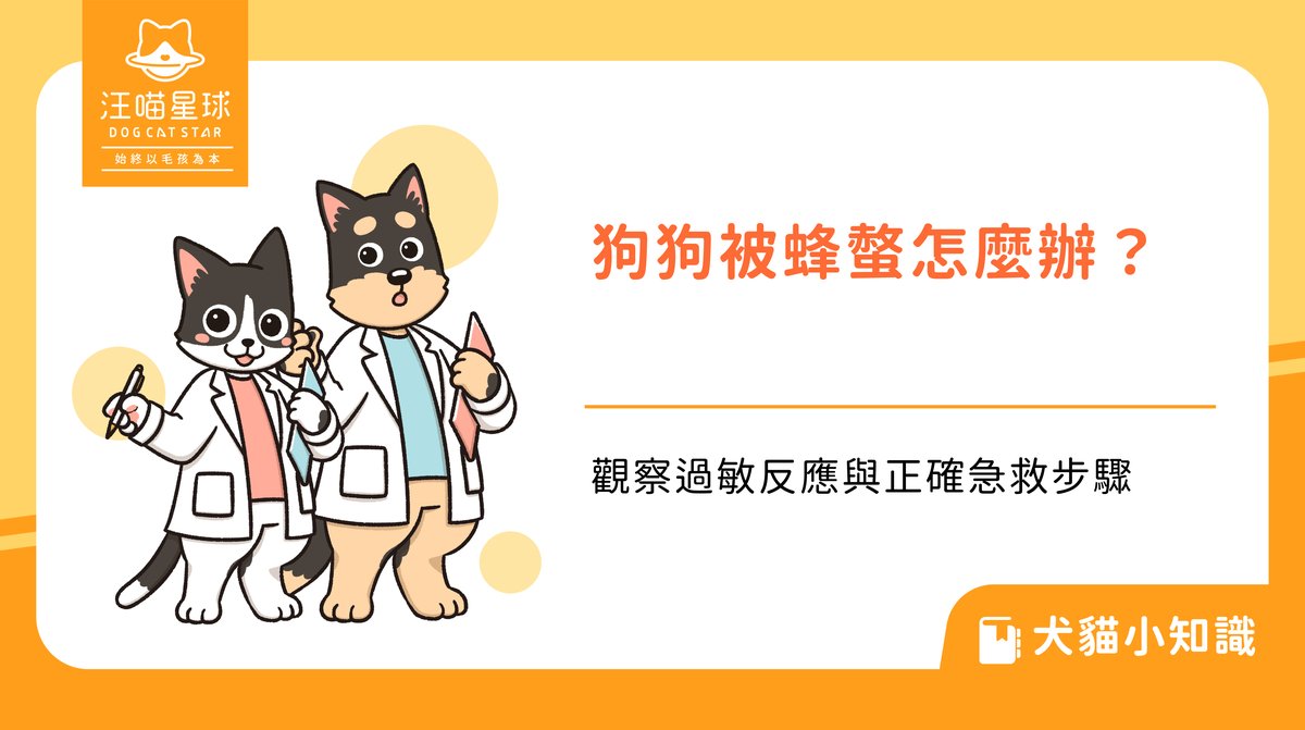 狗狗被蜂螫怎麼辦?觀察過敏反應與正確急救步驟