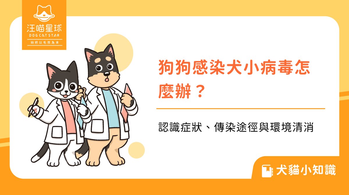 狗狗感染犬小病毒怎麼辦?認識症狀、傳染途徑與環境清消