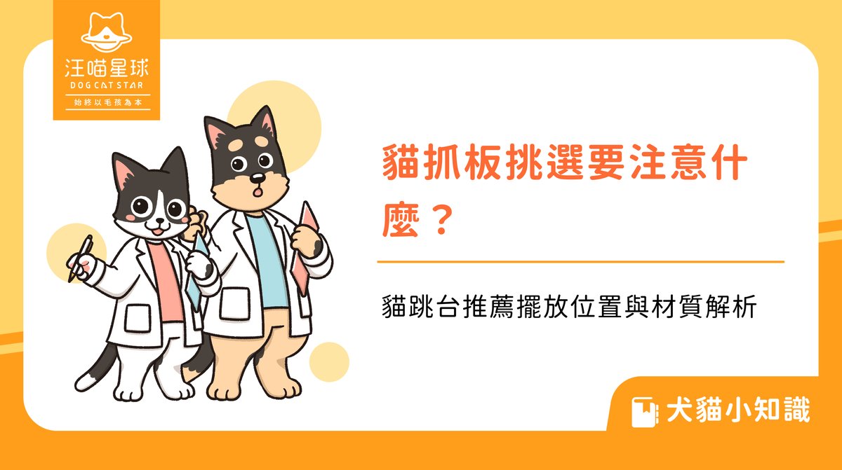 貓抓板挑選要注意什麼?貓跳台推薦擺放位置與材質解析