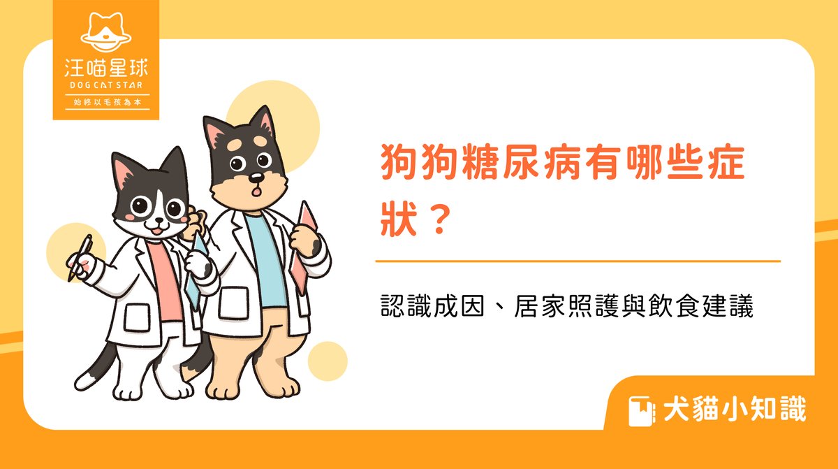 狗狗糖尿病有哪些症狀?認識成因、居家照護與飲食建議