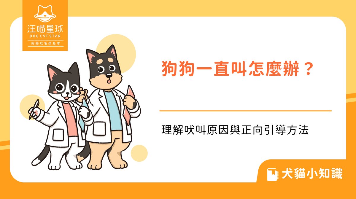 狗狗一直叫怎麼辦?理解吠叫原因與正向引導方法