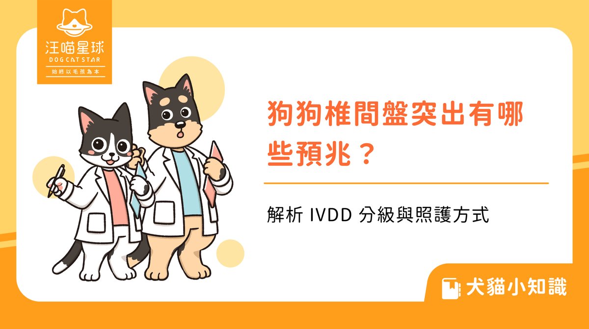 狗狗椎間盤突出有哪些預兆?解析 IVDD 分級與照護方式