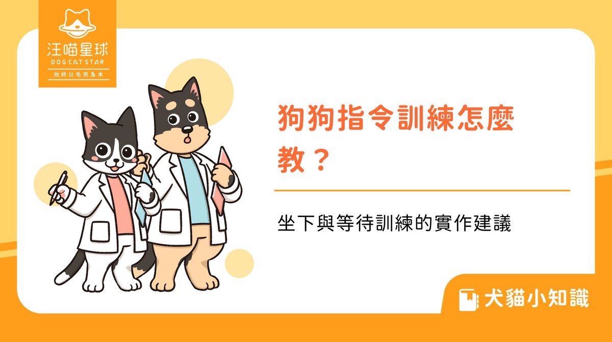 狗狗指令訓練怎麼教?坐下與等待訓練的實作建議