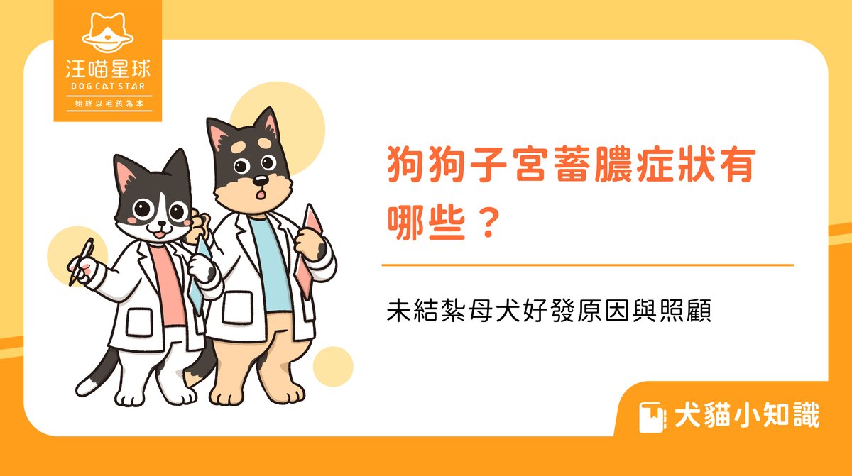 狗狗子宮蓄膿症狀有哪些?未結紮母犬好發原因與照顧