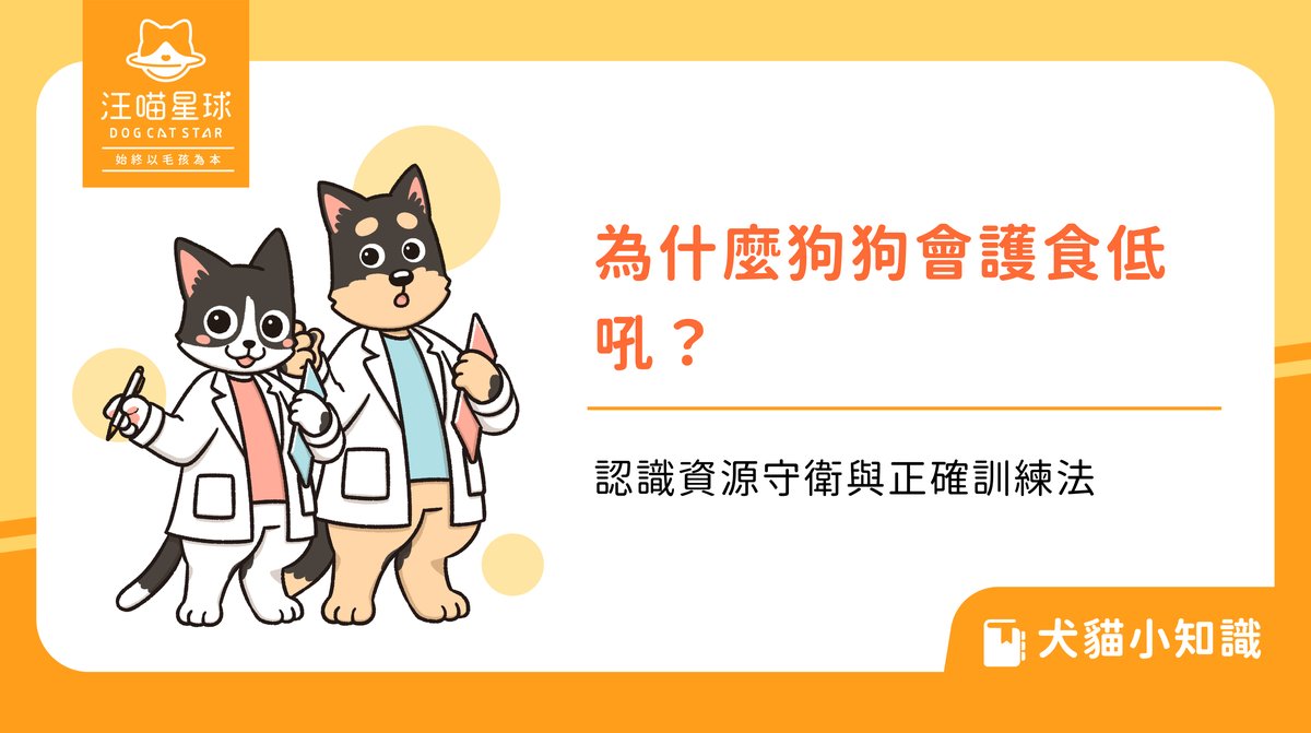 為什麼狗狗會護食低吼?認識資源守衛與正確訓練法