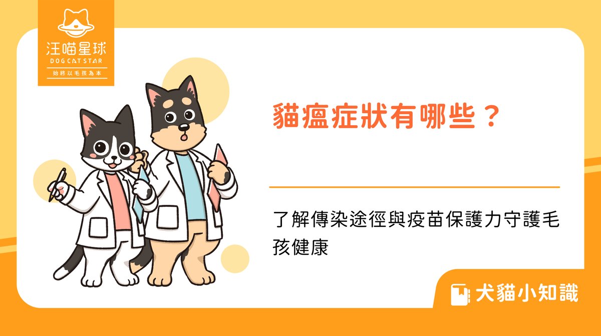 貓瘟症狀有哪些?了解傳染途徑與疫苗保護力守護毛孩健康