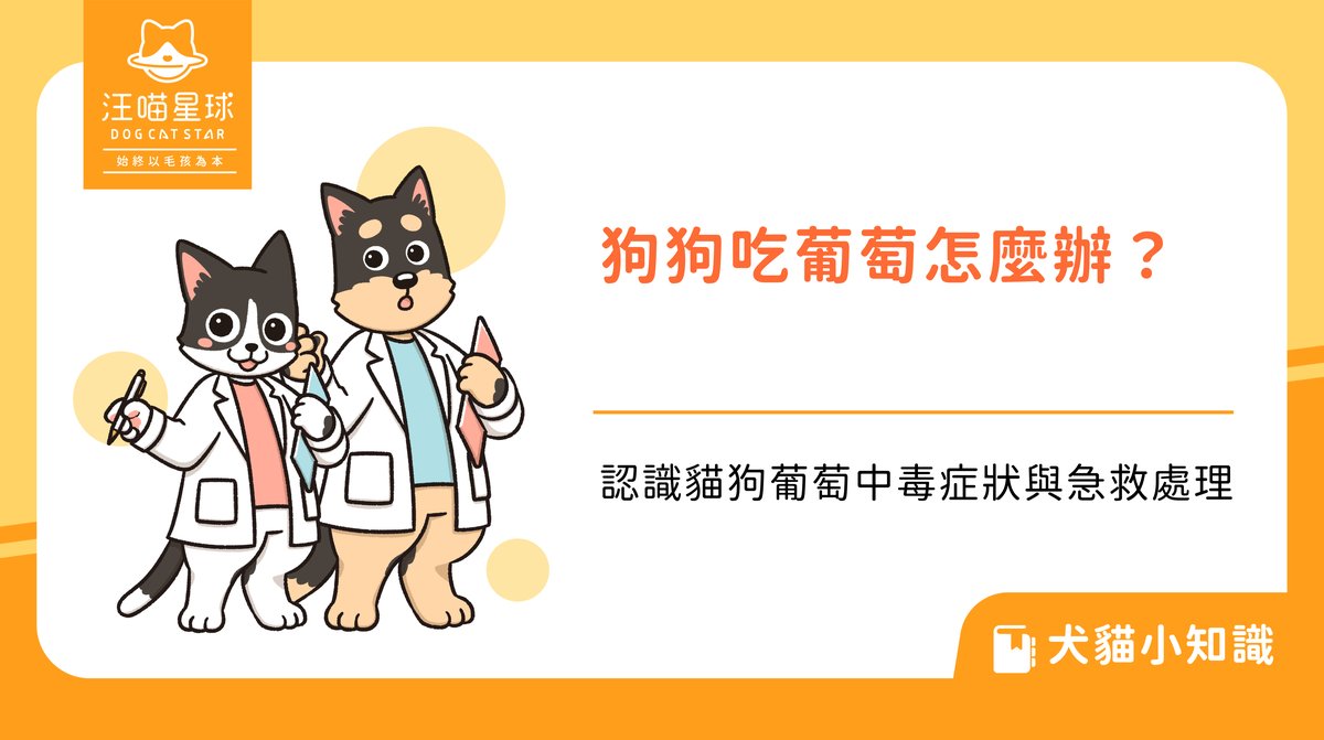 狗狗吃葡萄怎麼辦?認識貓狗葡萄中毒症狀與急救處理