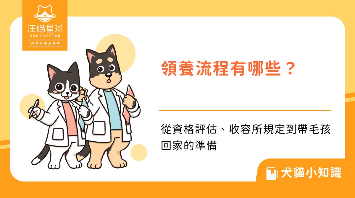 領養流程有哪些？從資格評估、收容所規定到帶毛孩回家的準備