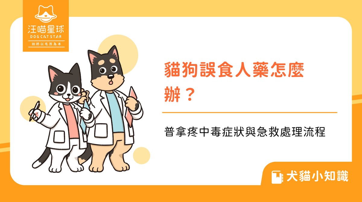 貓狗誤食人藥怎麼辦？普拿疼中毒症狀與急救處理流程