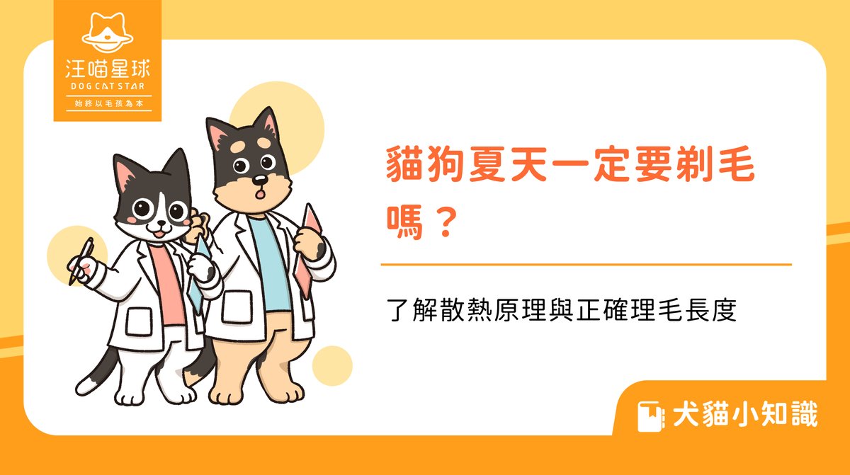 貓狗夏天一定要剃毛嗎?了解散熱原理與正確理毛長度