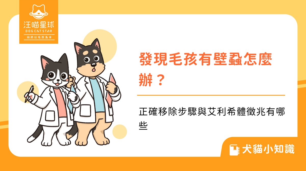 發現毛孩有壁蝨怎麼辦?正確移除步驟與艾利希體徵兆有哪些