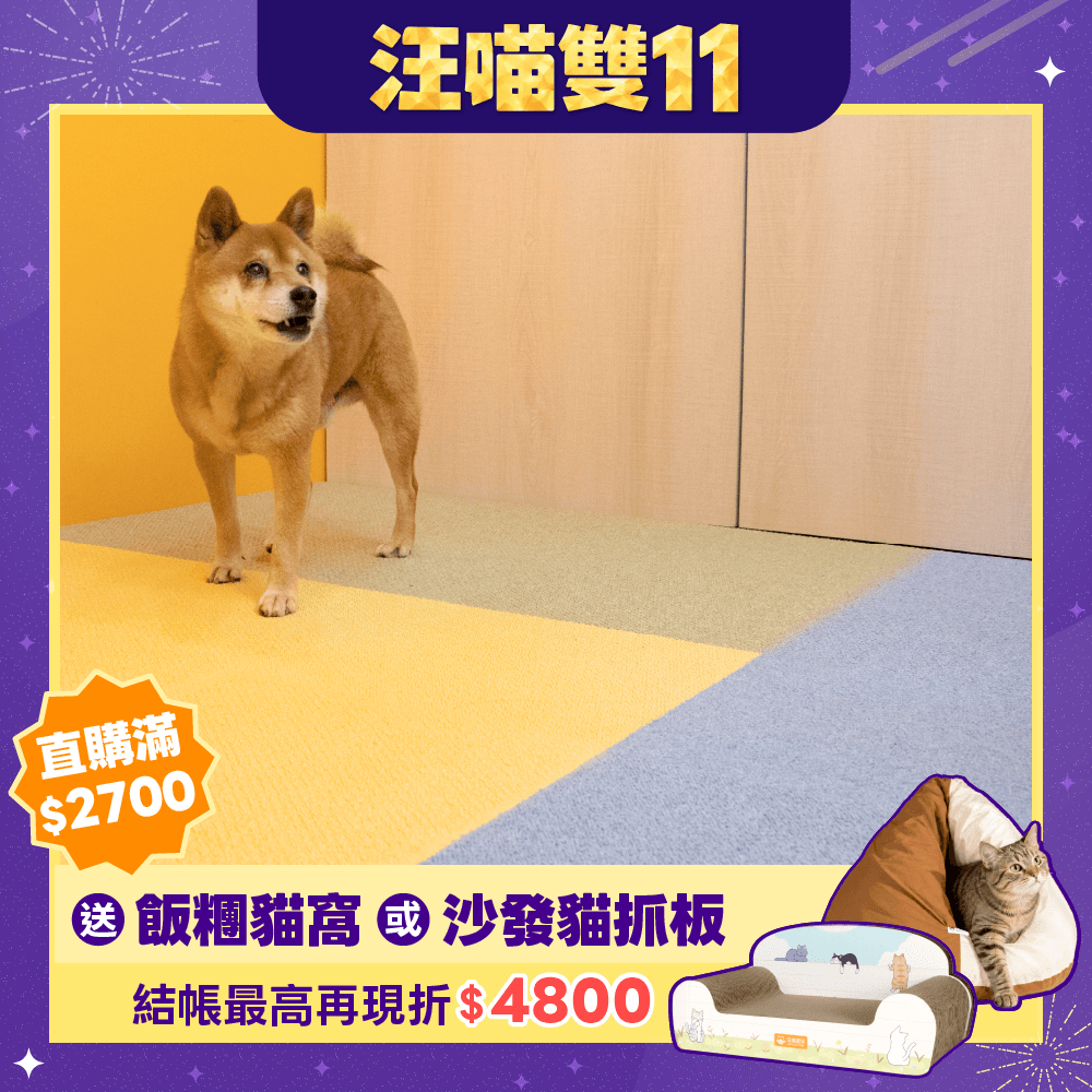 2026雙11產品圖_台灣_TOLI350