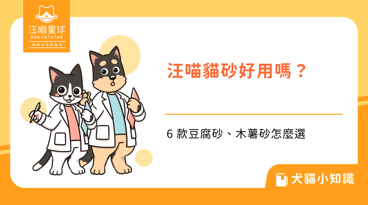 汪喵星球貓砂好用嗎？6 款豆腐砂、木薯砂和無痕砂怎麼選