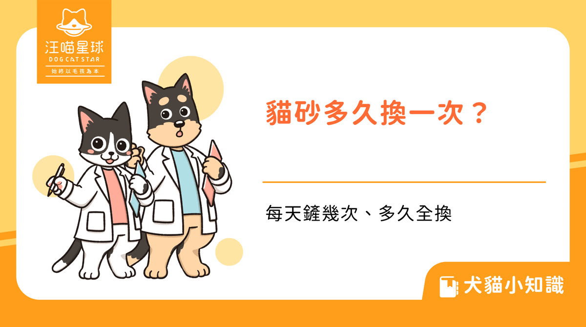 貓砂多久換一次?每天鏟幾次、多久要全換、鋪多厚才夠