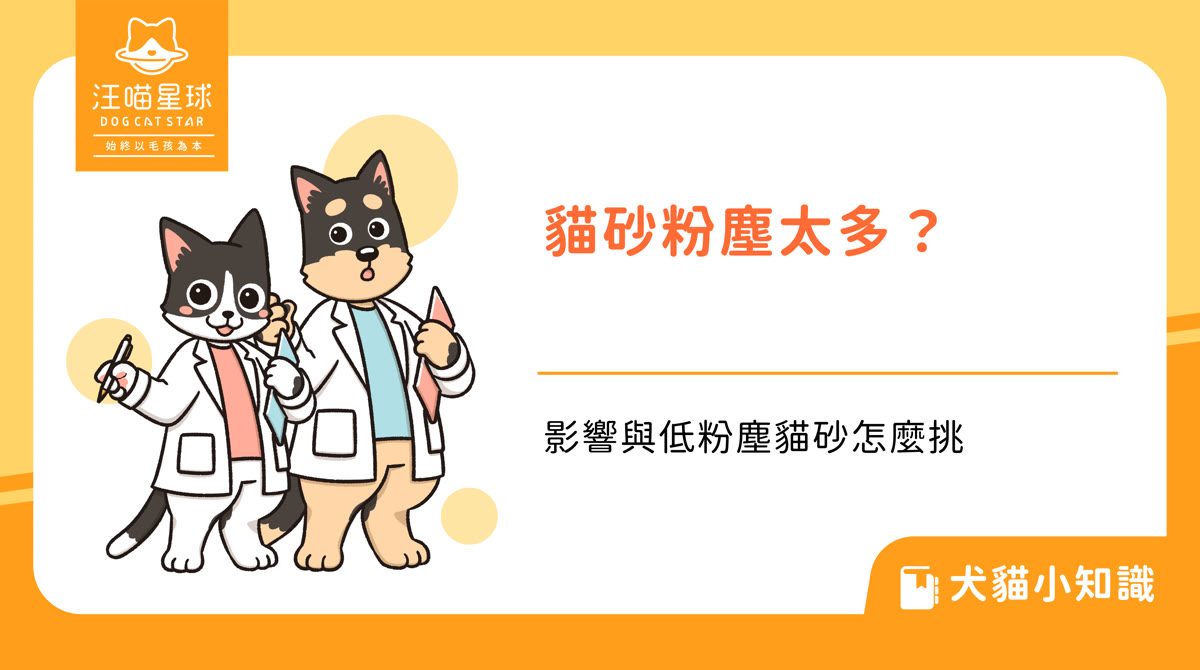貓砂粉塵太多怎麼辦？對貓和人的影響、低粉塵貓砂怎麼挑