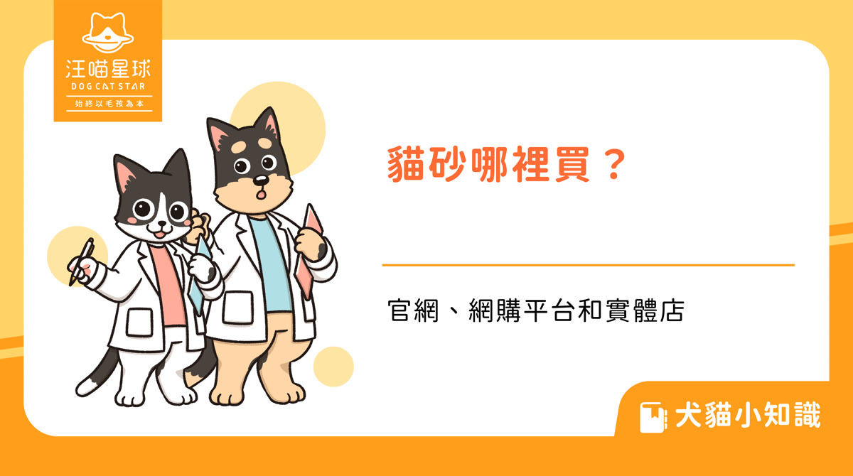 貓砂哪裡買？官網、網購平台和實體店差在哪