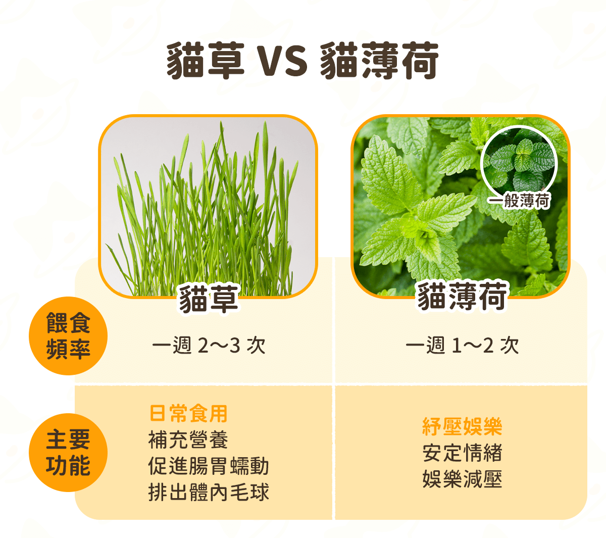 貓草 貓薄荷 差別 比較