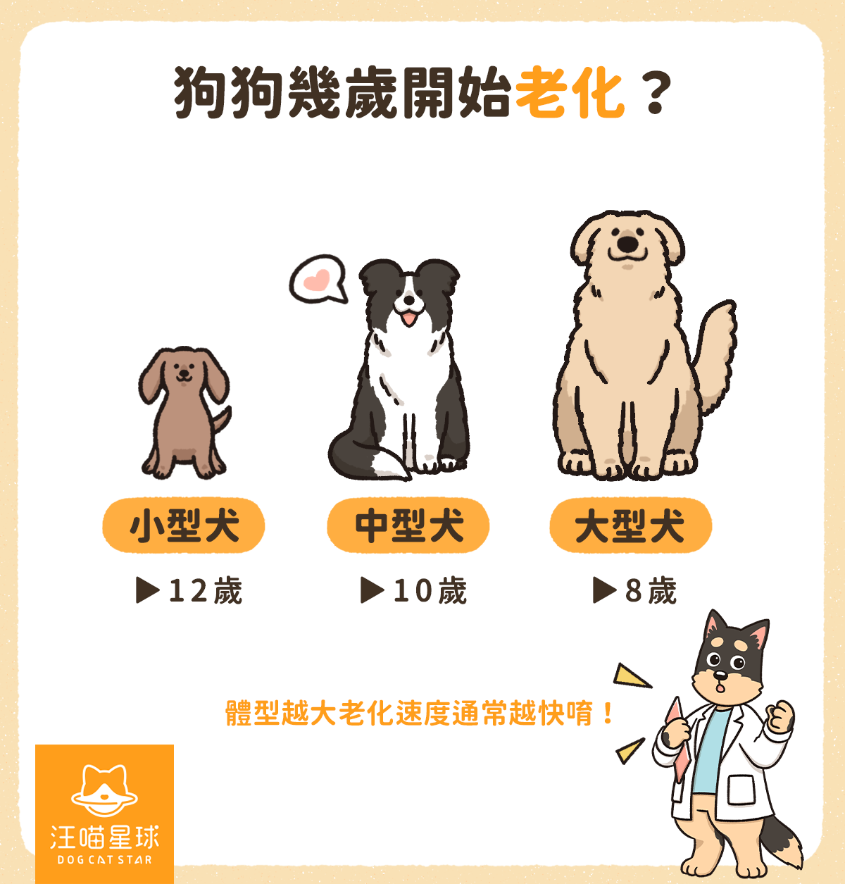 狗狗幾歲開始老化