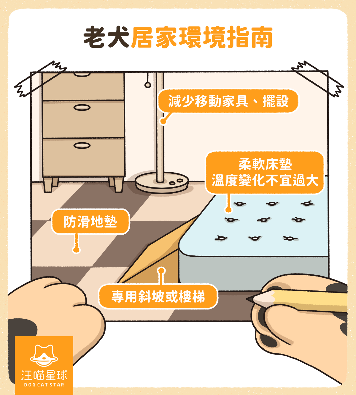 老狗居家環境照顧