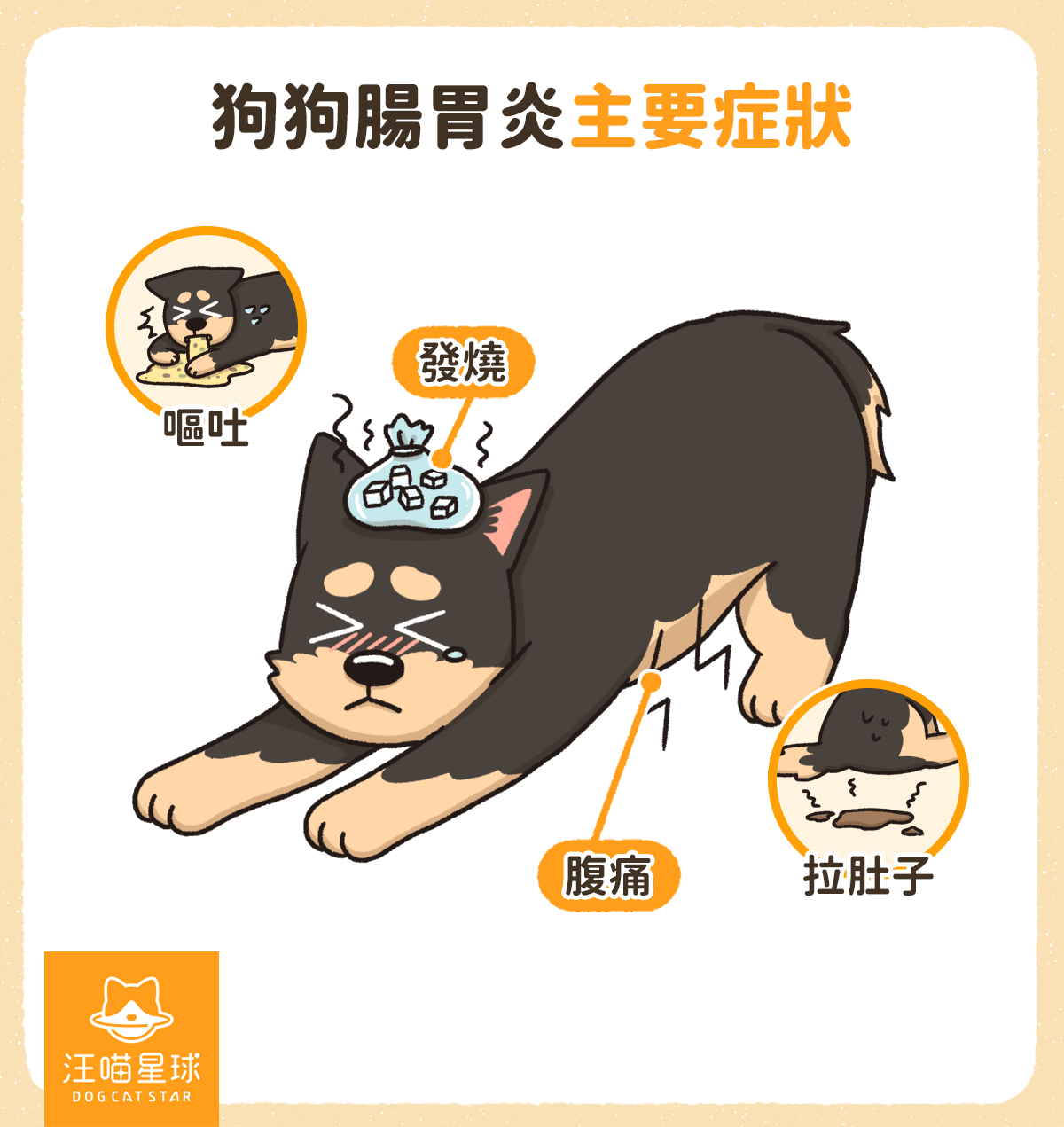 狗腸胃炎 症狀
