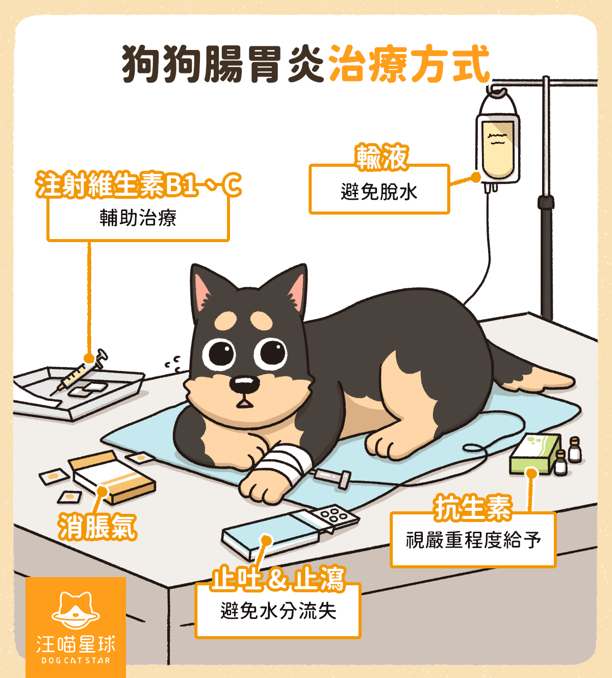 狗腸胃炎 治療方式