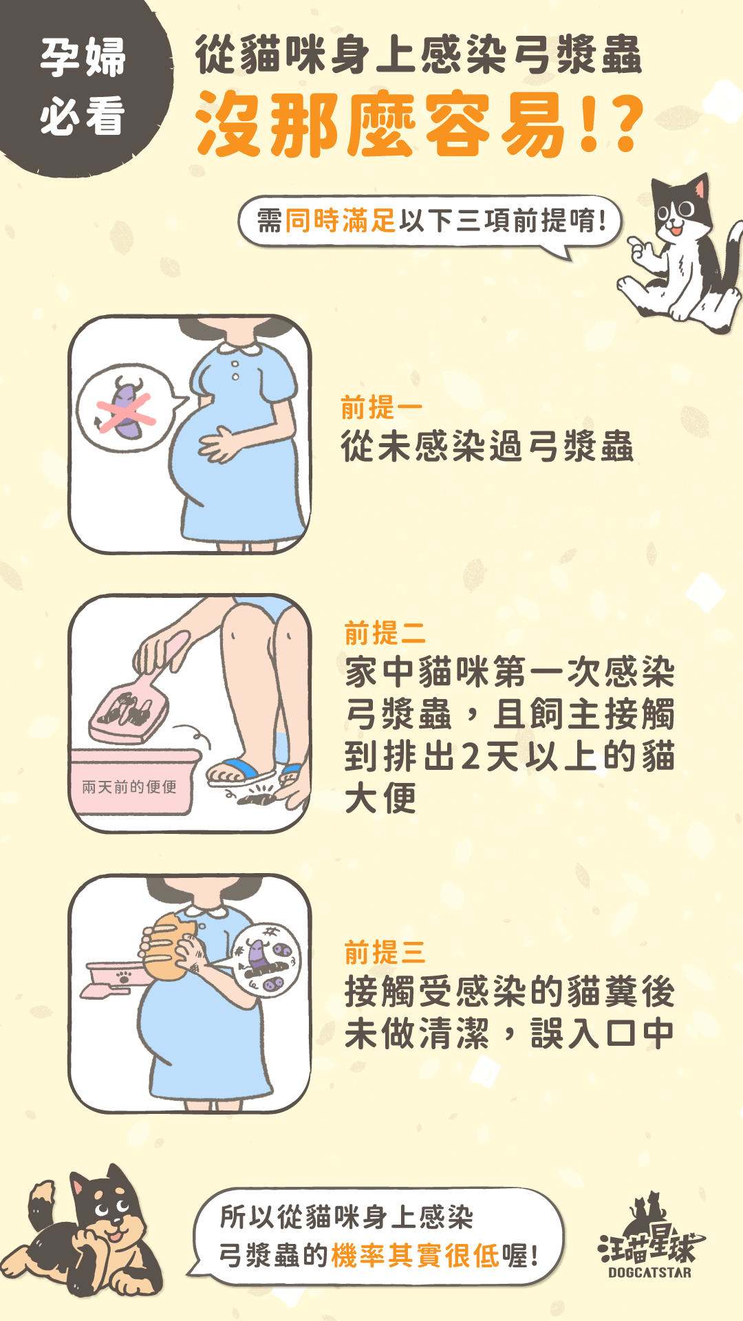 【汪喵知識教室】懷孕、養貓只能選一個？3個方法教你遠離弓漿蟲！