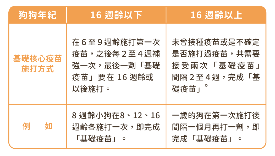 狗狗預防針該怎麼選？３分鐘了解狗狗疫苗！