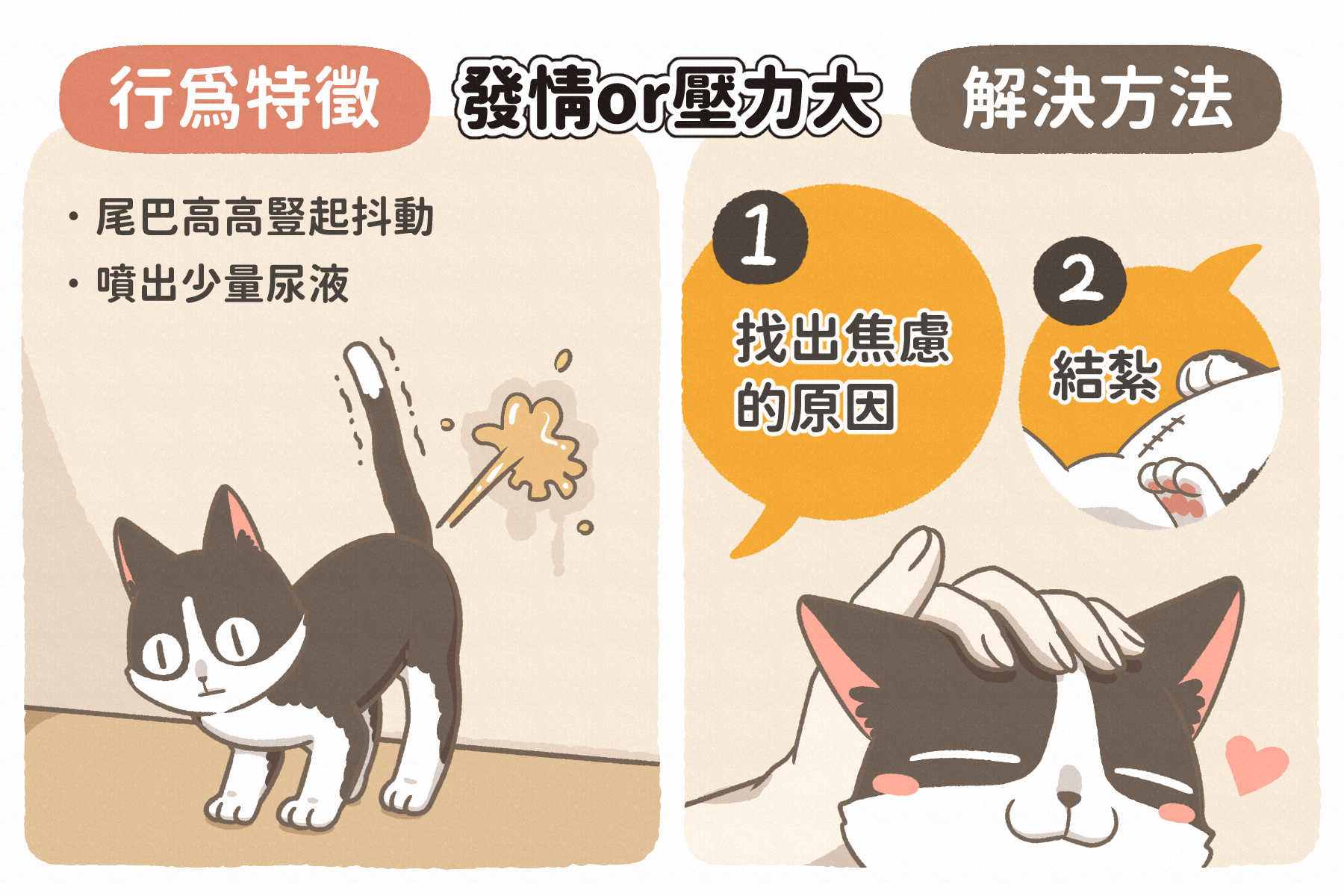 貓咪亂尿尿是報復？可能你還不夠了解牠