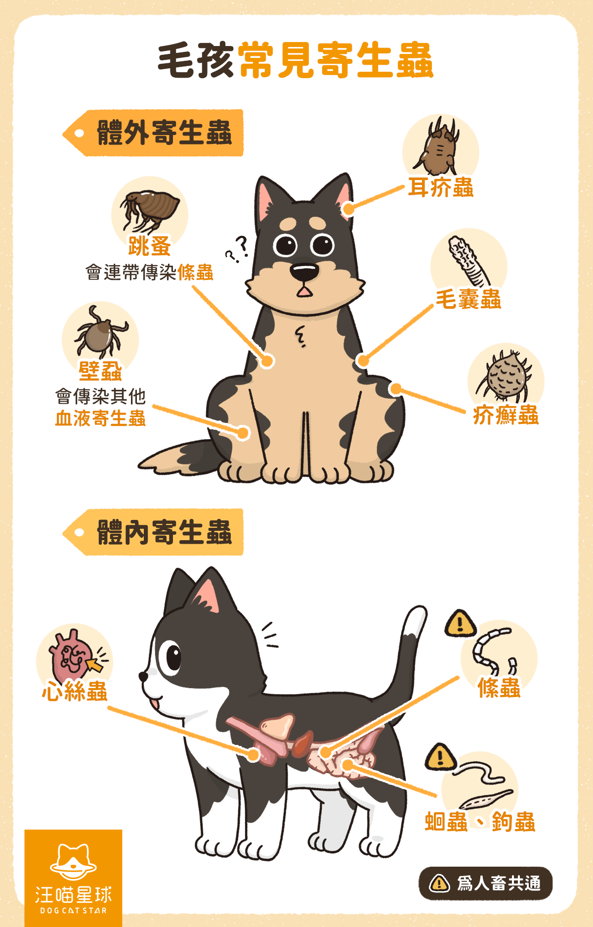 寄生蟲 貓咪寄生蟲 狗狗寄生蟲 貓咪驅蟲 狗狗驅蟲