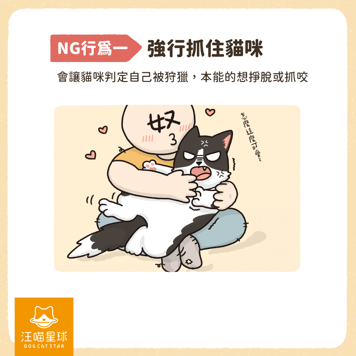 幼貓咬人 貓咪咬人 NG行為 抓住貓咪 幼貓咬人原因