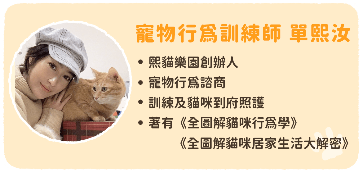 幼貓咬人 幼貓 寵物行為訓練師 單熙汝