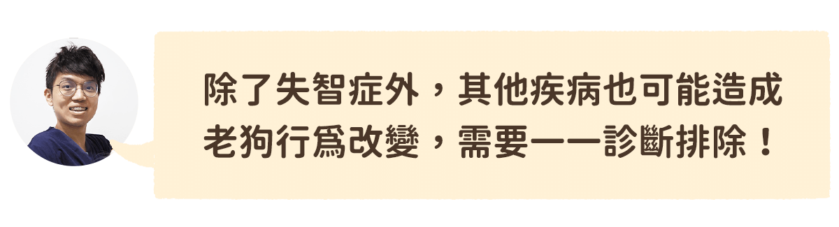 系統性疾病也可能造成狗狗行為改變