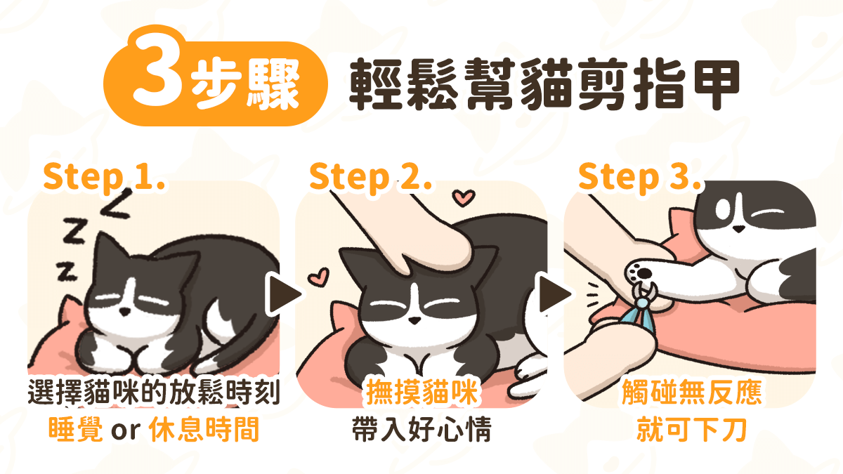 輕鬆幫 貓咪剪指甲 三步驟