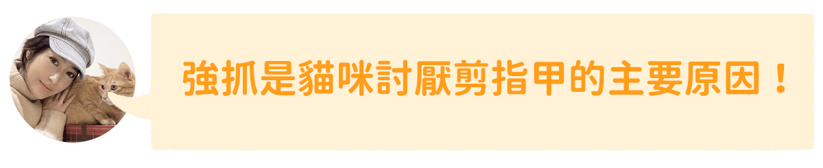 強抓是貓咪討厭剪指甲的主因