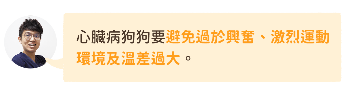 狗狗心臟病 注意事項