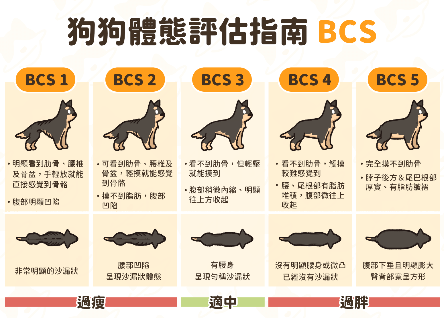 狗狗減肥 狗太胖 肥胖 體態