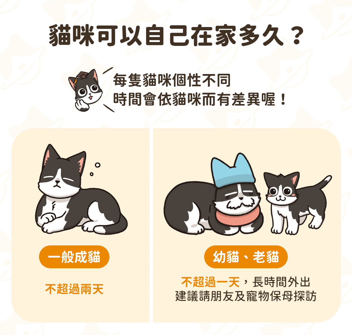 貓咪自己在家 可以多久？成貓、幼貓及老貓時間不同