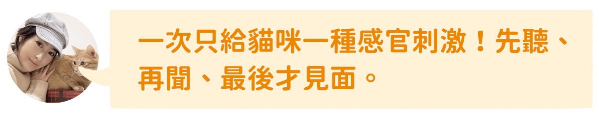 新舊貓介紹順序
