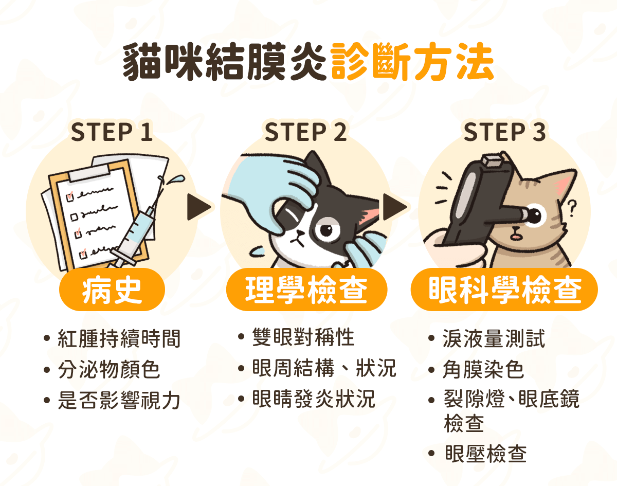 貓咪眼睛紅腫 檢查及診斷
