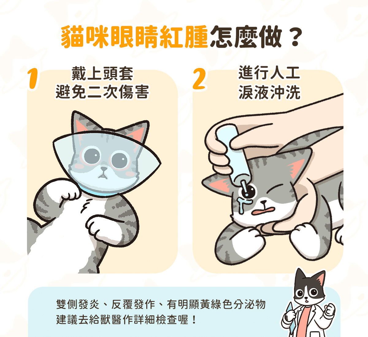 貓咪眼睛紅腫 怎麼辦？