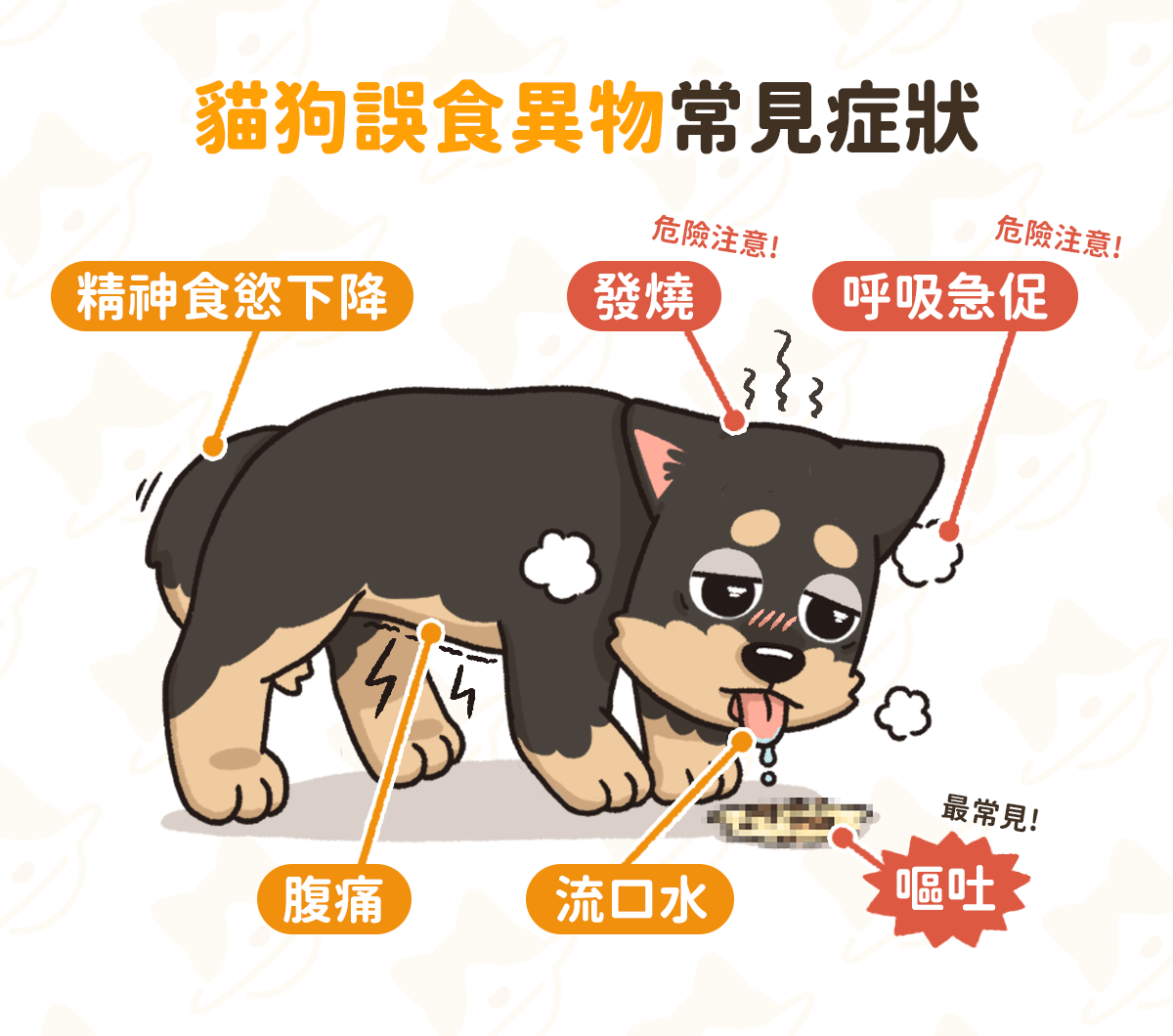 貓狗吃到異物 常見症狀