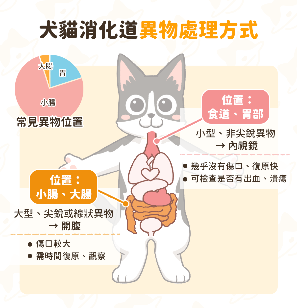 貓狗吃到異物 處理方式