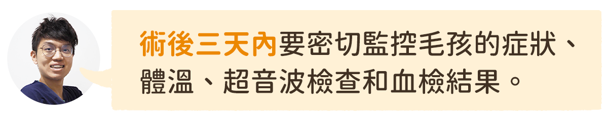 貓狗吃到異物術後觀察重點