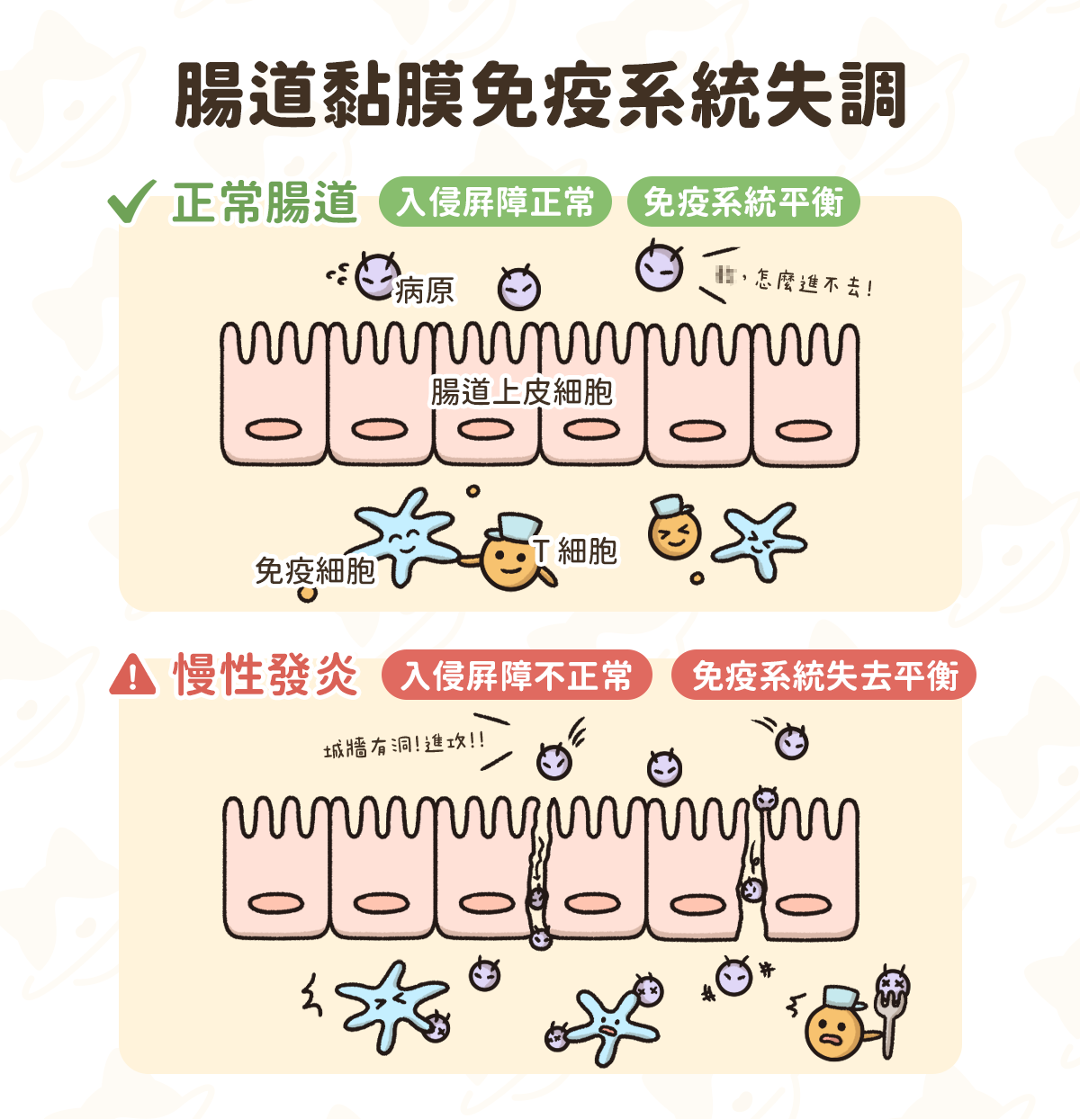 貓狗發炎性腸病 貓狗一直拉肚子 發炎性腸病 貓狗拉肚子