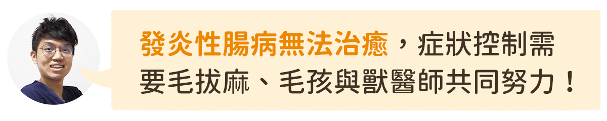貓狗發炎性腸病 貓狗一直拉肚子 發炎性腸病 貓狗拉肚子