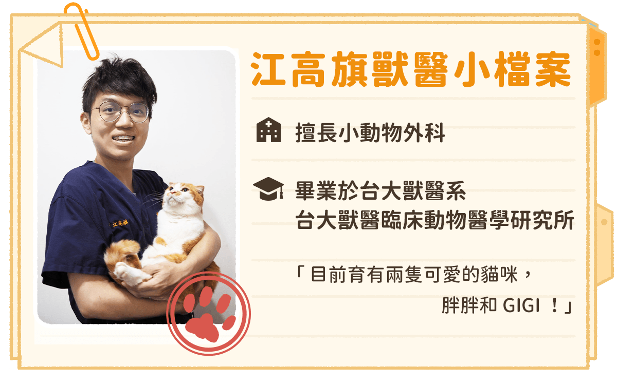 狗狗趾間炎 狗狗一直舔腳 狗趾間炎